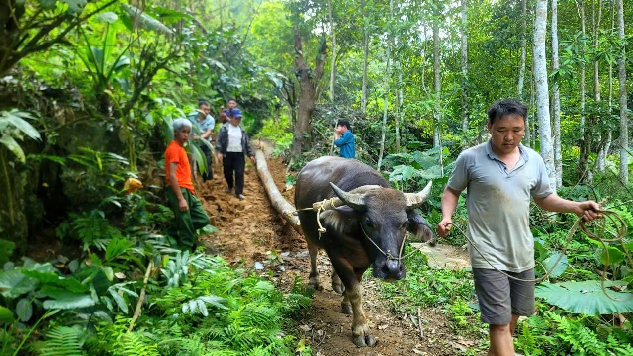BINH & NGOC, along with the villagers, widened the forest road to make transporting goods easier.
