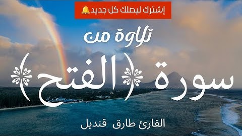 حصريا 2025| سورة الفتح | القارئ#طارق_قنديل#قران