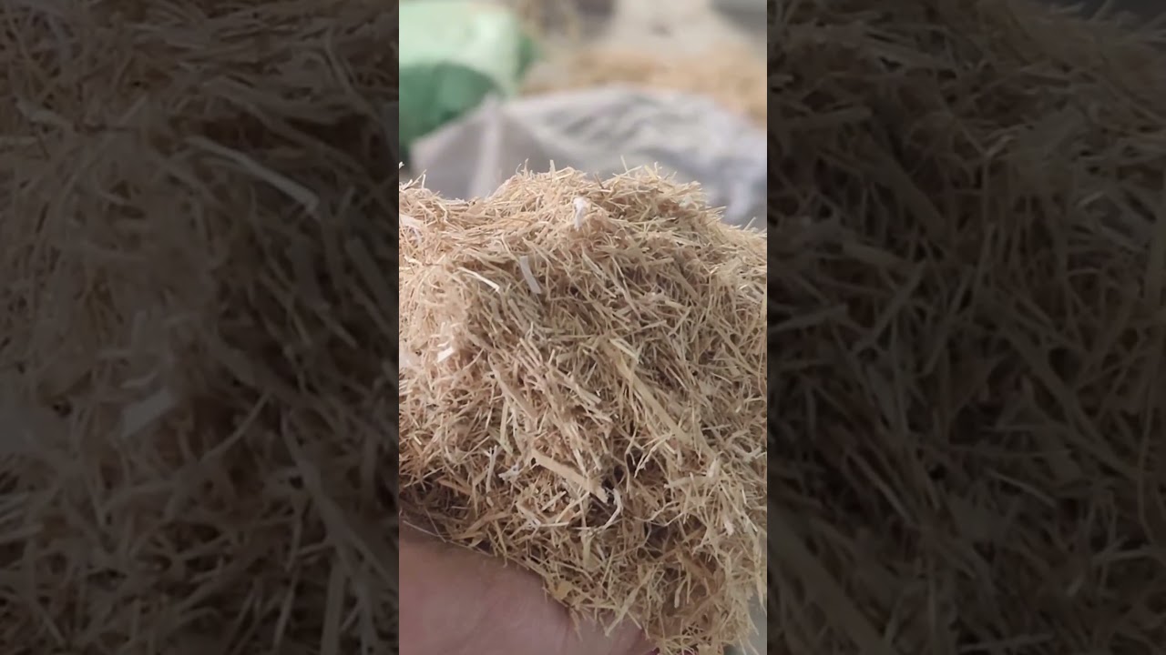 Test run successful for Rice Straw Pellet Mill from YuFChina