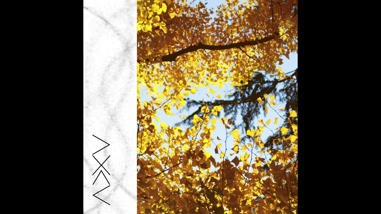 Watch ADXY - Chasing the Seasons (Official Audio) on YouTube Watch ADXY - Chasing the Seasons (Official Audio) on YouTube