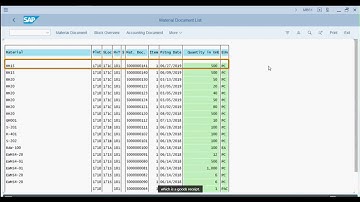 5  Inventory Management Reports SAP