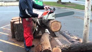 The chainsaw guy log testing Stihl 042 chainsaw 1 12