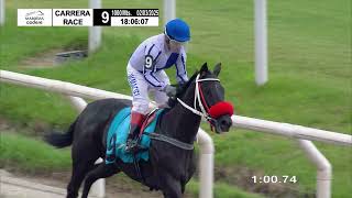 Vidéo de la course PMU PREMIO REINO DE ARABIA SAUDI