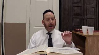 Daf Yomi: Chullin 114 (cycle 13) | Rabbi Shmuel Silber 