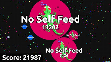 BACTER.IO DOMINATING FFA WITHOUT SELF FEEDING