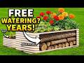 Stop Watering Forever: The Buried-Log Bed That Feeds Itself for 20 Years
