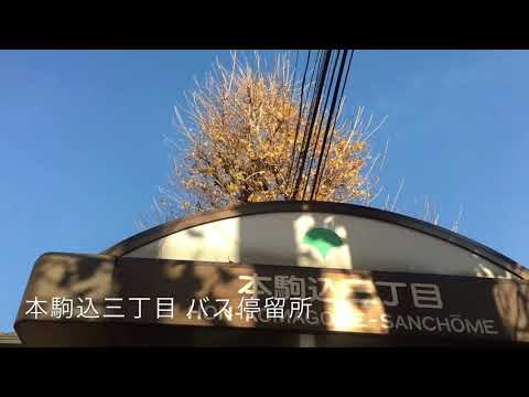 マーケットピア セブンイレブン 文京動坂上店 文京区 周辺施設 口コミ 写真 動画