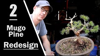 Mugo Pine Redesign: Part 2: Wiring