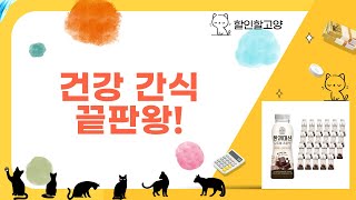건강 간식 꿀조합! 치자/비타민C/벌꿀/단백질 쉐이크까지!