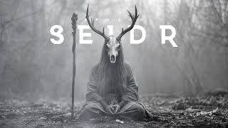Download Lagu Seiðr (Official Lyrics Video) MP3
