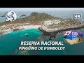 NO a la minera Dominga | Isla Damas y la Reserva Nacional Pinguino de Humboldt