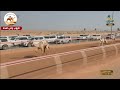 الشوط 1 كأس حقايق بكار مفتوح ريهجان لـ خالد حمدان غانم الفلاحي 4 25 52 مهرجان الذيد للهجن 2025 