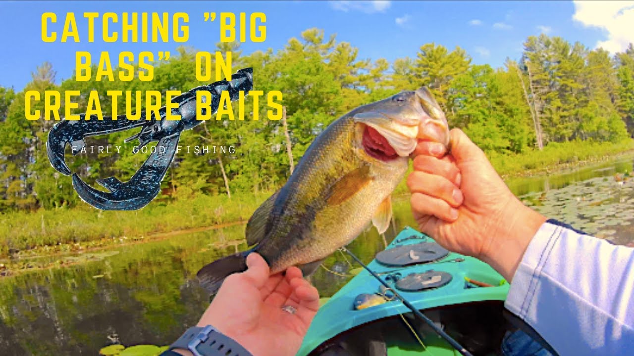 CREATURE BAIT BASS FISHING - Can we find the BIG BASS in this SMALL