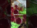 Processing redbud jelly. ❤️#makingjelly #beastandberryfarm #homesteadingfamily #farmsteadingfamily