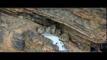 Follow Up after Endeavour OS Gnome install