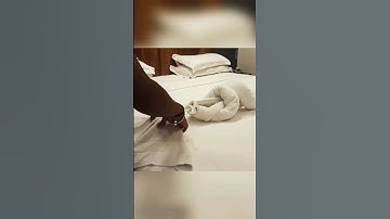 how to making dog // towel folding// #shorts#video#