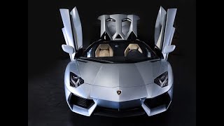 SUICIDE DOORS + VIDEO BUD SHOTS