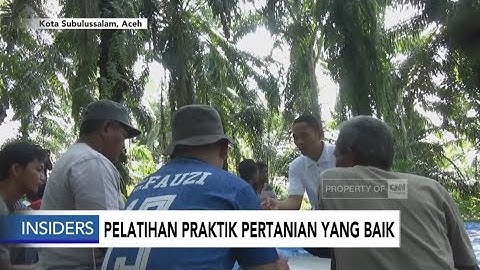 Pelatihan Praktik Pertanian yang Baik - Insiders