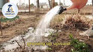 The Bamboo Tree Story | Motivational English Story | English Listening Practice