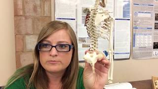 Dr. Mayberry talks Thoracic Vertebrae
