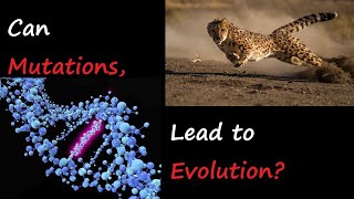 Details Can Random Mutations lead to progressive Evolution | God Exists 11 pt2| The Programming of life! Update