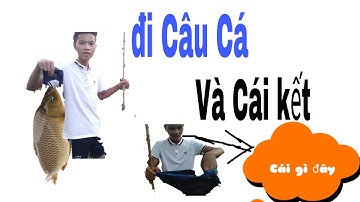 Câu cá mùa mưa lũ Và cái kết Cá ăn không kịp giật