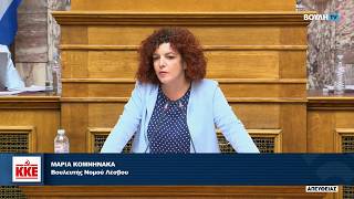 Τοποθέτηση της Μ. Κομνηνάκα στην Επιτροπή για τη Συνταγματική Αναθεώρηση