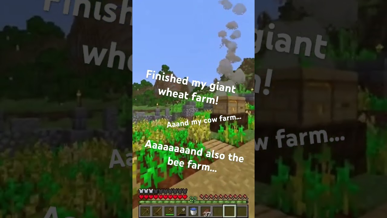 Giant wheat farm #minecraft #gaming #funny #survival #bees #farming #minecraftfarm #minecraftjava