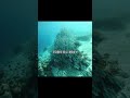 地球よりも生きやすい系外惑星