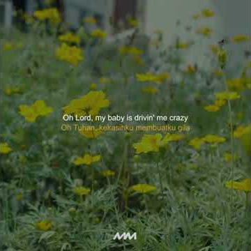 Beautiful girl story wa