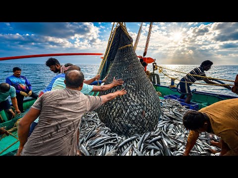 Massive Fish Catch at Sea | Kerala Trawlnet Fishing Adventure 🎣🌊