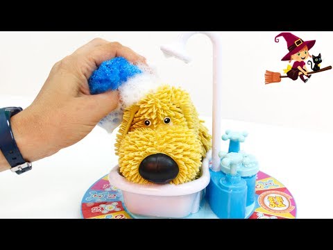 Video: Ideas del juego de la ducha del perrito