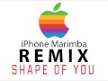 Shape of You MARIMBA REMIX