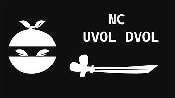 UVOL DVOL Indicator for NinjaTrader 8 | Indicator Review & Setup | NinjaCoding