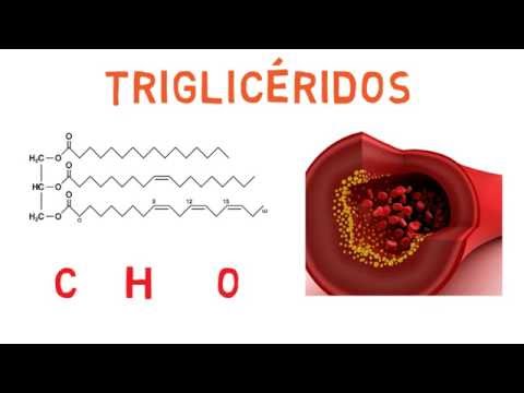 Vídeo: Diferencia Entre Glicerol Y ácidos Grasos