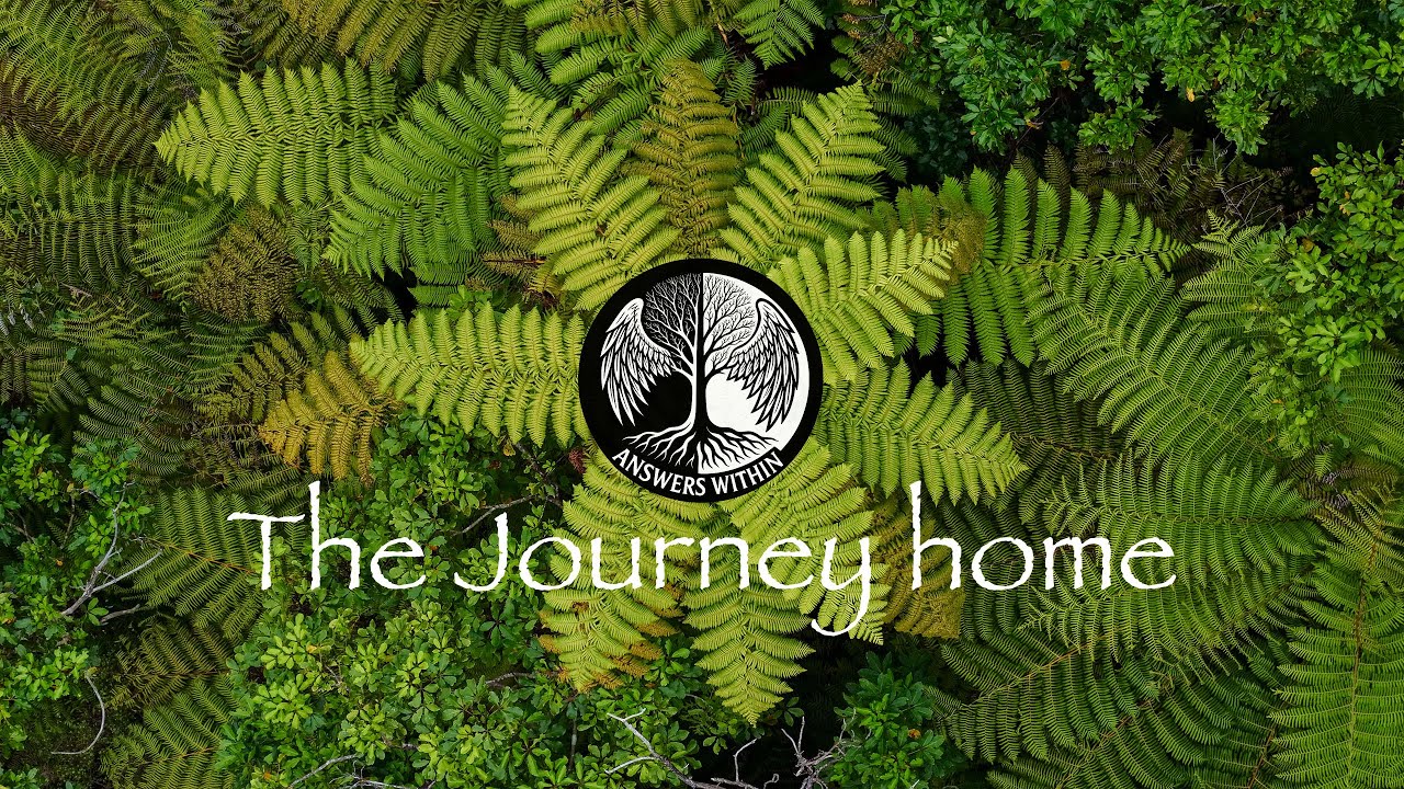 The Journey Home: A Men's Retreat in the Stunning Marlborough Sounds | Answers Within