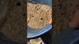 Don’t swipe cause we got a right gold signal