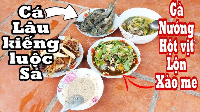 10. Tóm Lược và Kết Luận