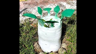 Берёзки из пластиковых бутылок для саженцев. DIY RoSa - Birch tree from a plastic bottle. Берёзки из пластиковых бутылок для саженцев. DIY RoSa - Birch tree from a plastic bottle.