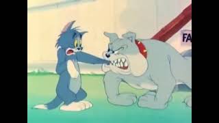 Tom and Jerry  Same Scream Compilation  #tomandjerry #cartoon #totalgaming #anime Wealth