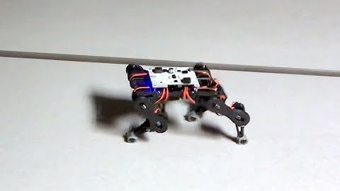 Petoi Bittle in Action | Exploring Multiple Gaits | PetoiCamp