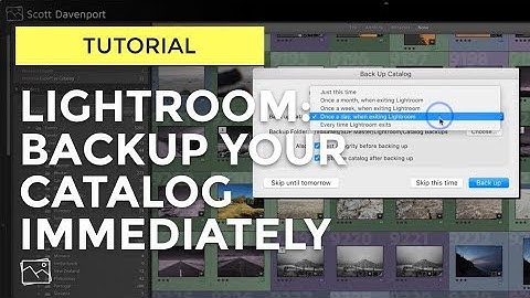 Lightroom Tutorial - Backup Your Catalog Immediately