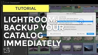 Lightroom Tutorial - Backup Your Catalog Immediately