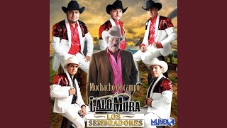Video thumbnail of "Lalo Mora - Muchacho de Campo"