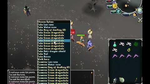 Runescape Bot Killing Video 1 Part 2