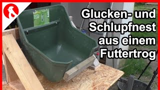 F219 Glucken und Schlupfnest aus einem Futtertrog   Jensman and the Huhns