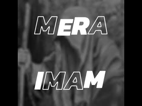 Mera Imam bahut Roya h  kah k ash shaam bahut roya h  Nauha lyrics  status video  syedszahara