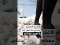 World Food Programme seeks to expand aid to 8 million Sudanese mp3