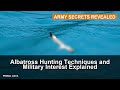 Albatross Hunting Techniques and Military Interest Explained