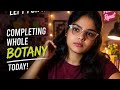 completing whole| 3rd session| less rock together|